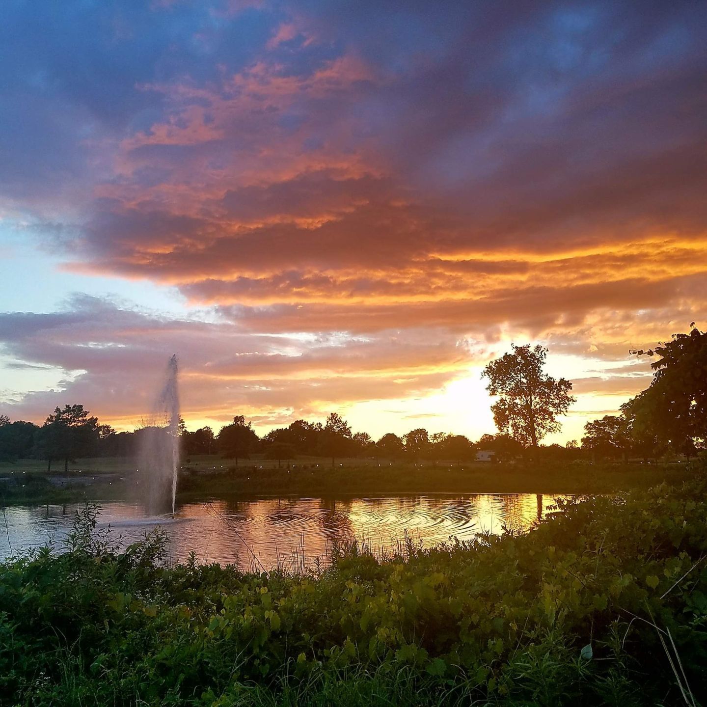 Coffee Creek Watershed Preserve